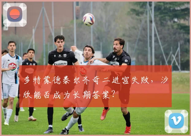 多特蒙德泰尔齐奇二进宫失败，沙欣能否成为长期答案？